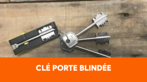 Reproduction clé à Nice